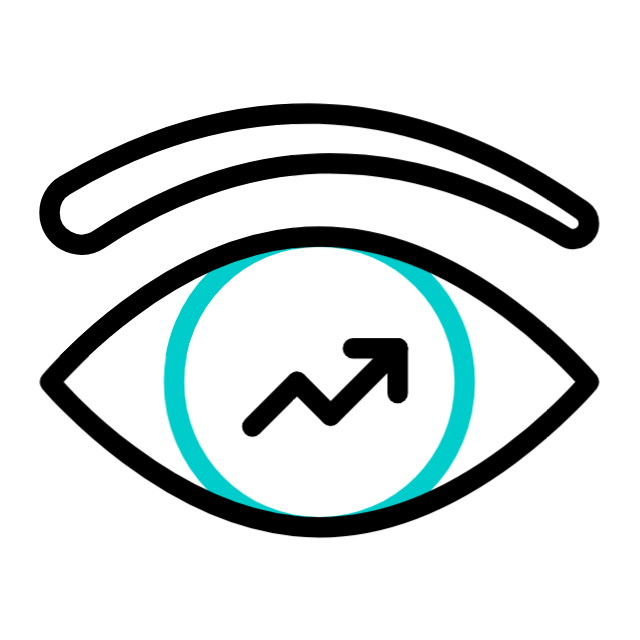 Our Vision